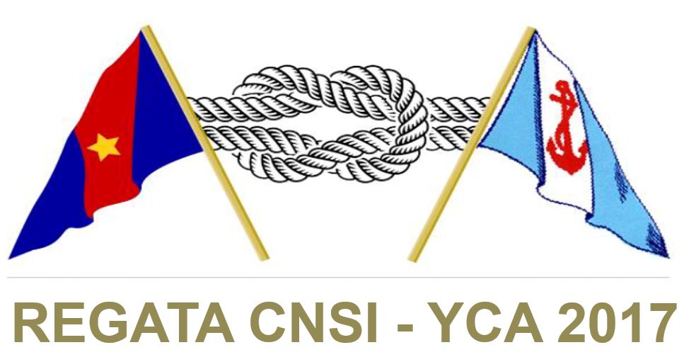 Logo CNSI-YCA 2017